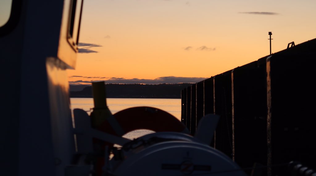 Markus Stitz tweet media