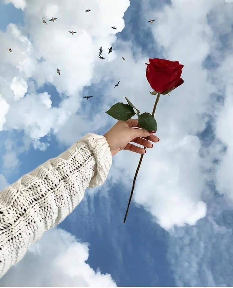 AAya_______'s tweet photo. #صباح_الخير
#صباحيات
لا شيء يمر في حياتك عبث ، 
حتى تعثراتك الصغيرة كانت
 لأجل أن تعرف شيئاً ما ، 
لأجل أن تعي أكثر من دروس الحياة ،
لأجل أن يتسع الأفق لديك ،
و تزداد حكمة من معرفة ما يدور حولك https://t.co/TanEnhEoOz
