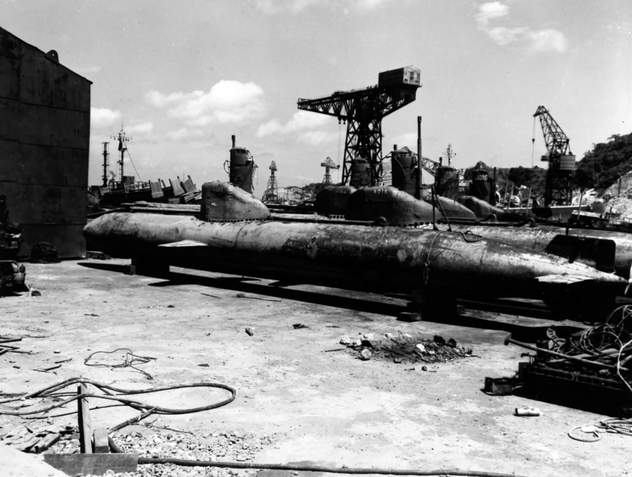 魚交（さめ） on X: 