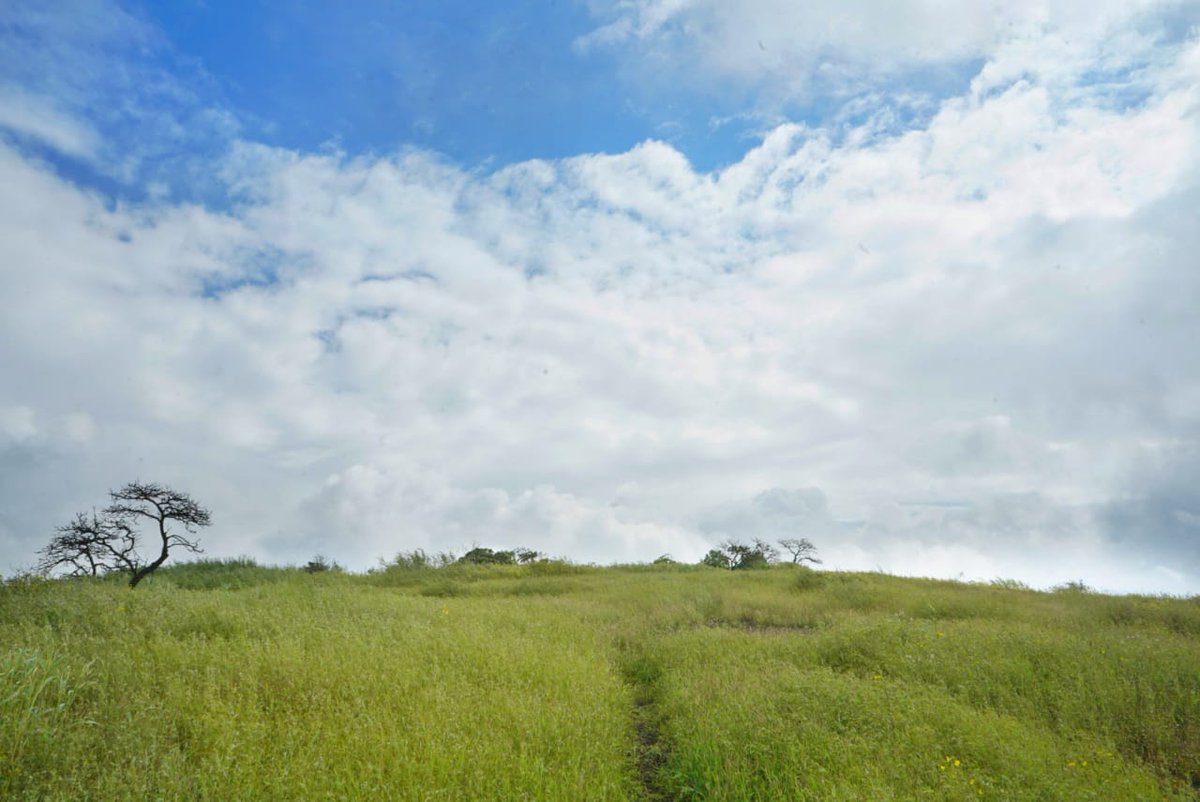 What is it about the countryside — why is the beauty so much more than visual? Why does it touch one so?
#Asherigad