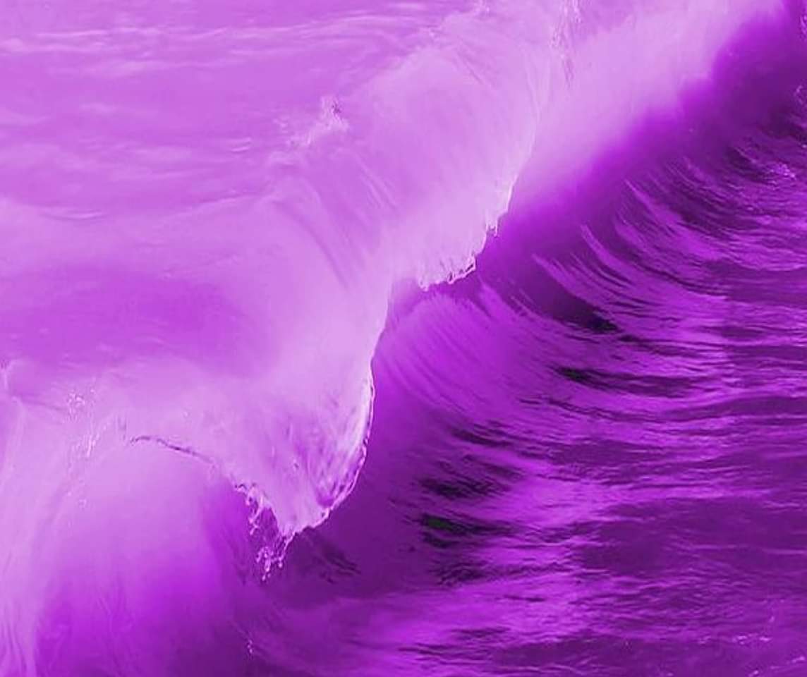 Tracysoo2019's tweet photo. @LilyTbd PPC purple wave CANADA https://t.co/SjhTwgfrx4