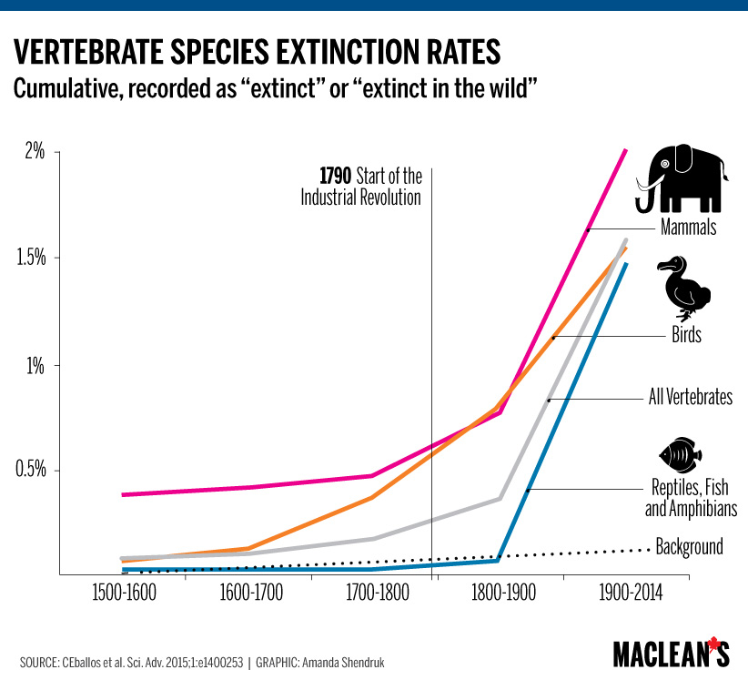 danfmsg's tweet photo. Si te enseñan este gráfico, lo normal es asustarse. La consecuencia es clara, la revolución industrial está provocando una extinción masiva de animales.

Pero no, te están engañando vilmente. Hay dos "trucos" estadísticos en este gráfico.

1/3 https://t.co/vMSkfhgoYb