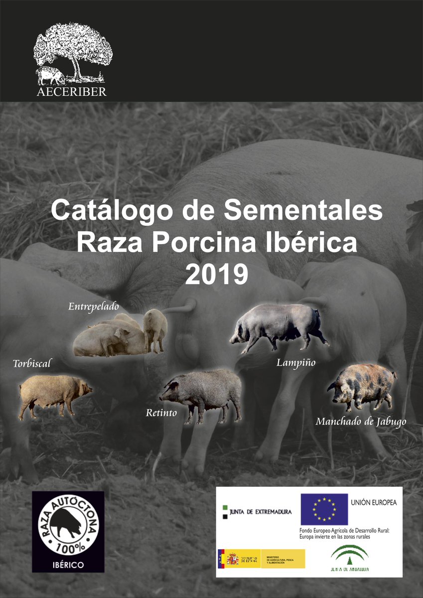 Publicado el Catálogo de Sementales de la Raza Porcina Ibérica 2019 aeceriber.es/noticias/catal… #100x100nuestro @mapagob