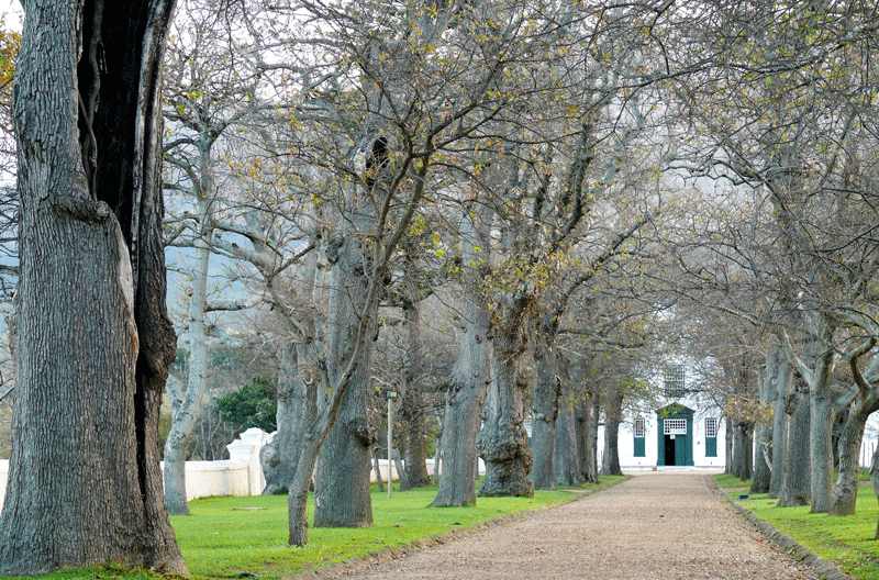 GrootConstantia's tweet photo. Experience wine with chocolate pairing or just be inspired by South African Art. Groot Constantia's visitors route ticket gets you all this and more. Book your ticket and explore the heritage-rich core of the wine estate.
#walkingbackintime #celebrate334abundance #visitorsroute https://t.co/iUuCEq8o3o