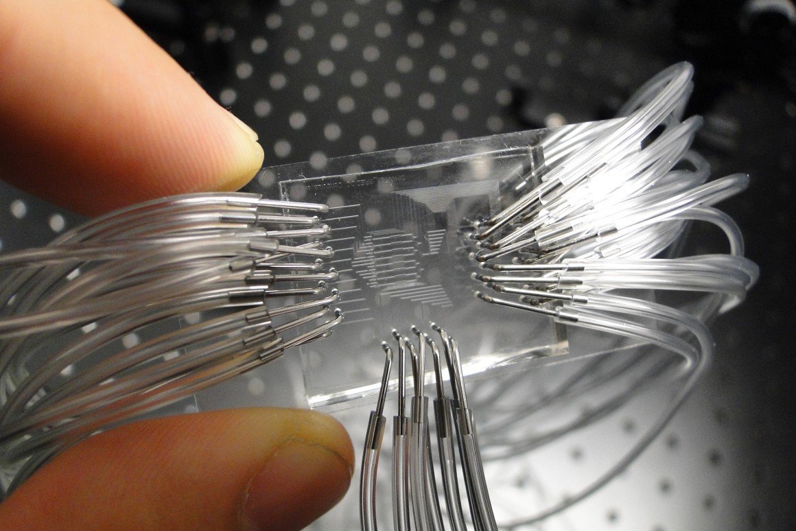 This report focuses on #LabonaChipDevice volume and value at global level, regional level and company level. From a global perspective@ bit.ly/2nI1DrH