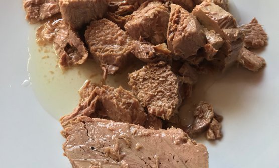 identitagolose's tweet image. Luigi Pomata che fa stagionare il tonno in scatola 30 anni, ed è eccezionale.
Una riserva di latte superlative, «possono rimanere lì anche di più, seguo il metodo di mio nonno». E le sardine di 75 anni... identitagolose.it/sito/it/132/24…