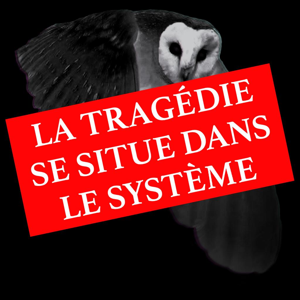 MKCD (@ciemkcd) on Twitter photo 