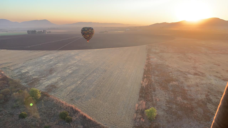 Bill Harrops Balloon tweet media