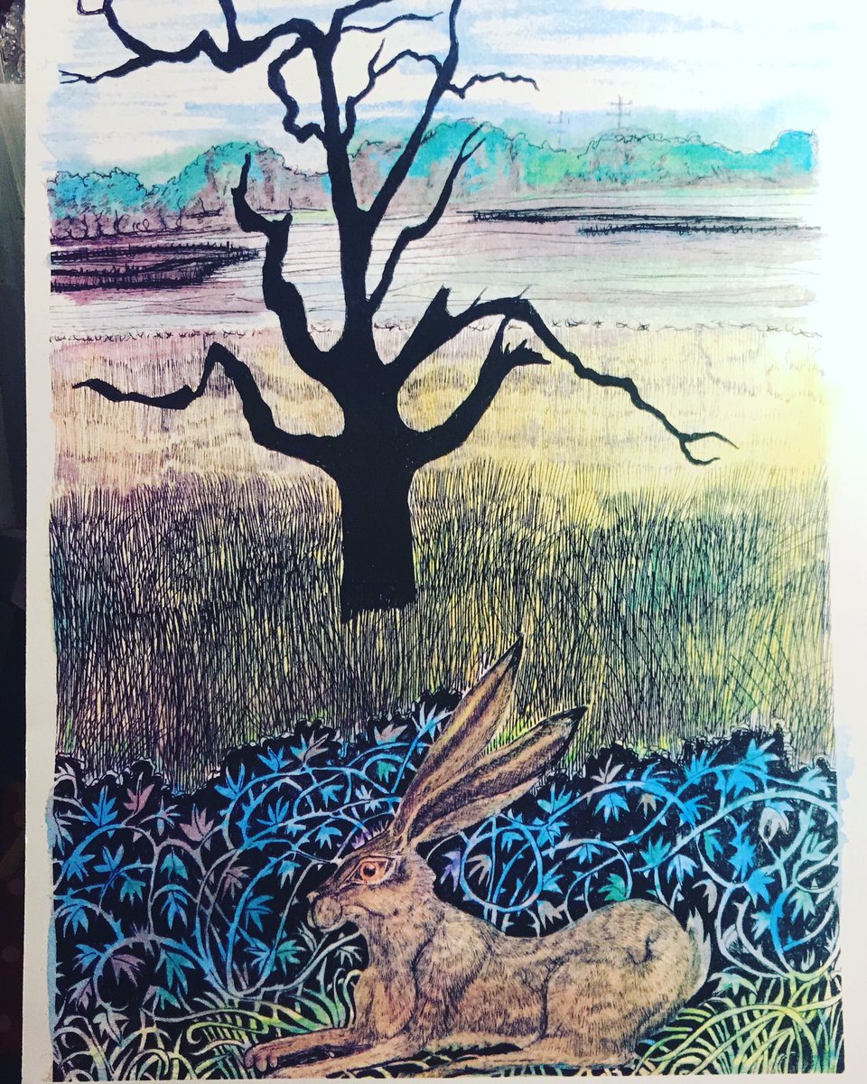 susiehammondart's tweet photo. Iken Hare at IkenCliffs #art #framedart #interiorart #illustration #suffolkartist #beautiful #wildlifeart #tree #river #iken #harepreservation #illustrationart #wildliving #villagelife #visitsuffolk #artforsale #coastalpath #suffolkcoast https://t.co/bbs6LAXyYv