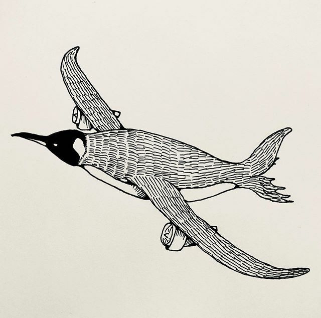 エイマ Eima No Twitter 空飛ぶペンギン Flying Penguin イラスト アート 絵 画 イラストレーター デザイン イラストグラム ドローイング ペンギン Illustration Illustrator Art Design Drawing Artist Painting Artwork Penguin T Co