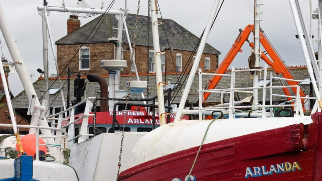 A great new view of our amazing building taken by <a href="/david1hirst/">David Hirst</a>.  Built in 1727 - the oldest working building on the Fish Quay. Help us keep it as a active community asset. #charity #heritage #community ⁦<a href="/LuvNorthShields/">I Love North Shields</a>⁩ ⁦<a href="/NorthShieldsBC/">#OneNorthShields</a>⁩ ⁦<a href="/NTCouncilTeam/">North Tyneside Council</a>⁩