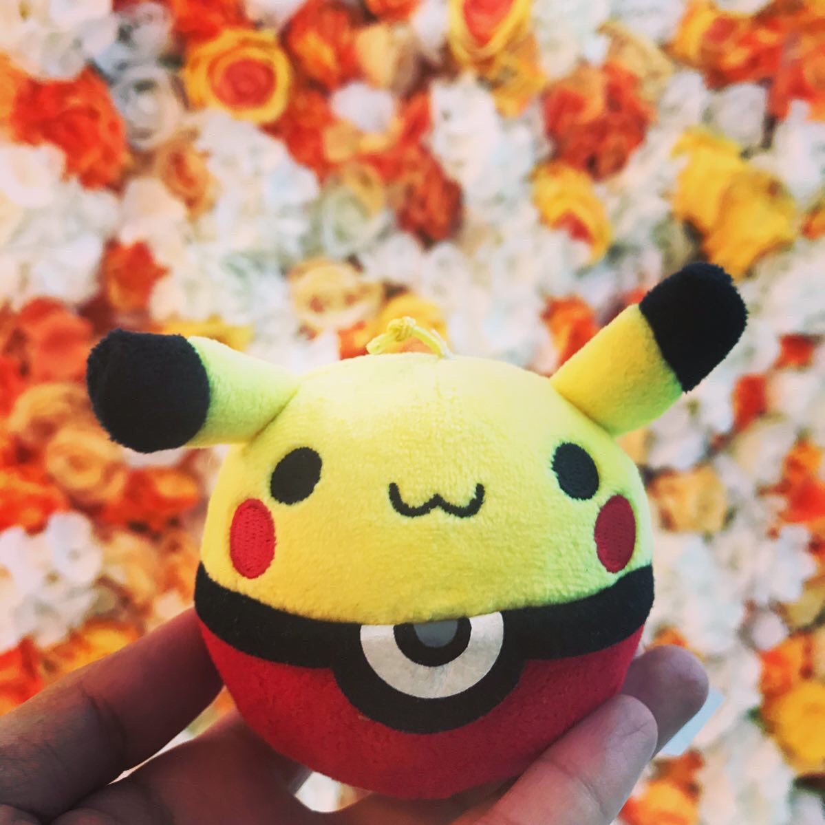 Emmanuelle0219's tweet photo. Kawaii Pikachu (๑╹ω╹๑ )
•
•
•
#pokemon #pokemonfigures #pokemonplush #mypokemoncollection #pokemoncollection #pokemonphotography #myphotography #figurephotography
#nintendo #Pikachu https://t.co/6e3y8lRAfR