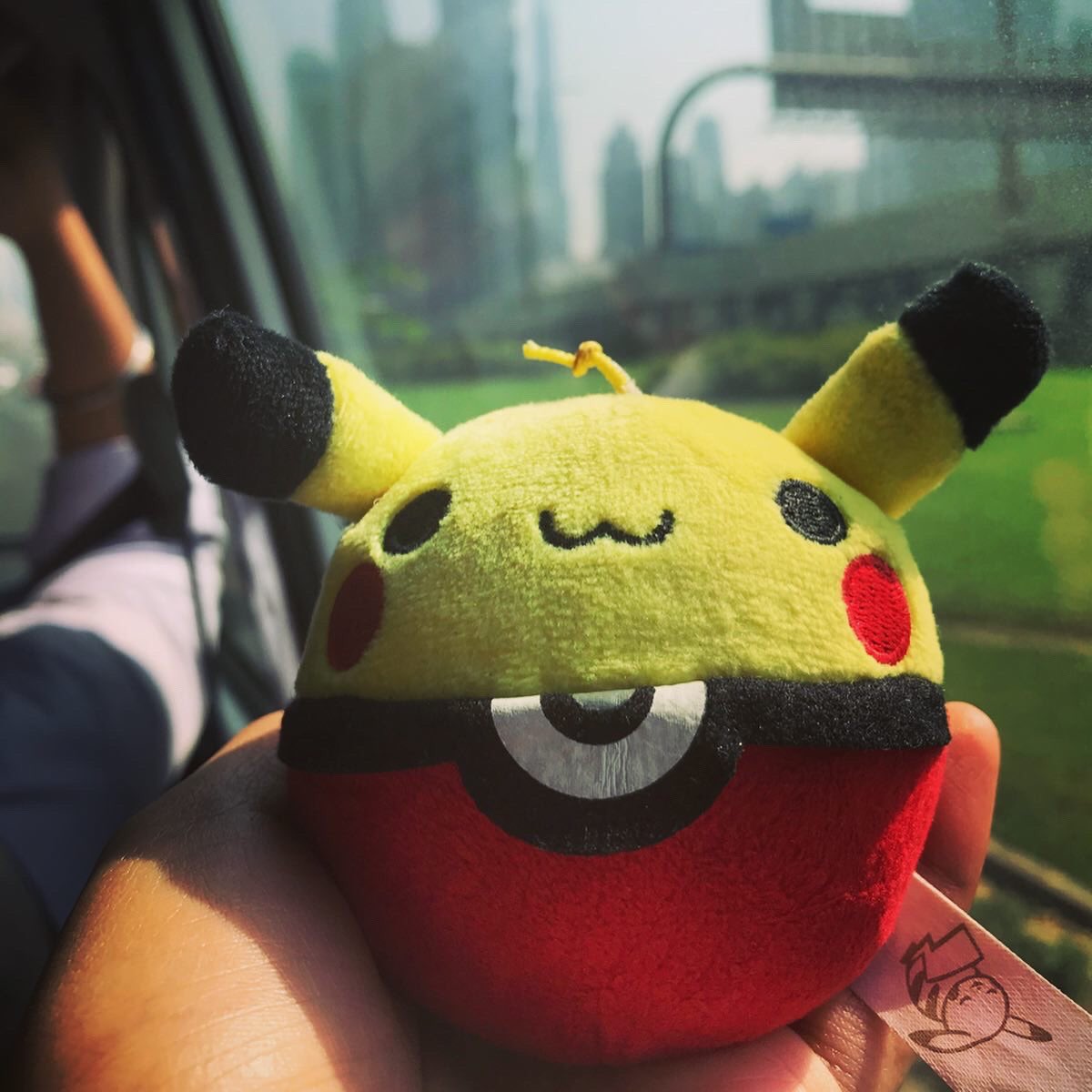 Emmanuelle0219's tweet photo. Kawaii Pikachu (๑╹ω╹๑ )
•
•
•
#pokemon #pokemonfigures #pokemonplush #mypokemoncollection #pokemoncollection #pokemonphotography #myphotography #figurephotography
#nintendo #Pikachu https://t.co/6e3y8lRAfR
