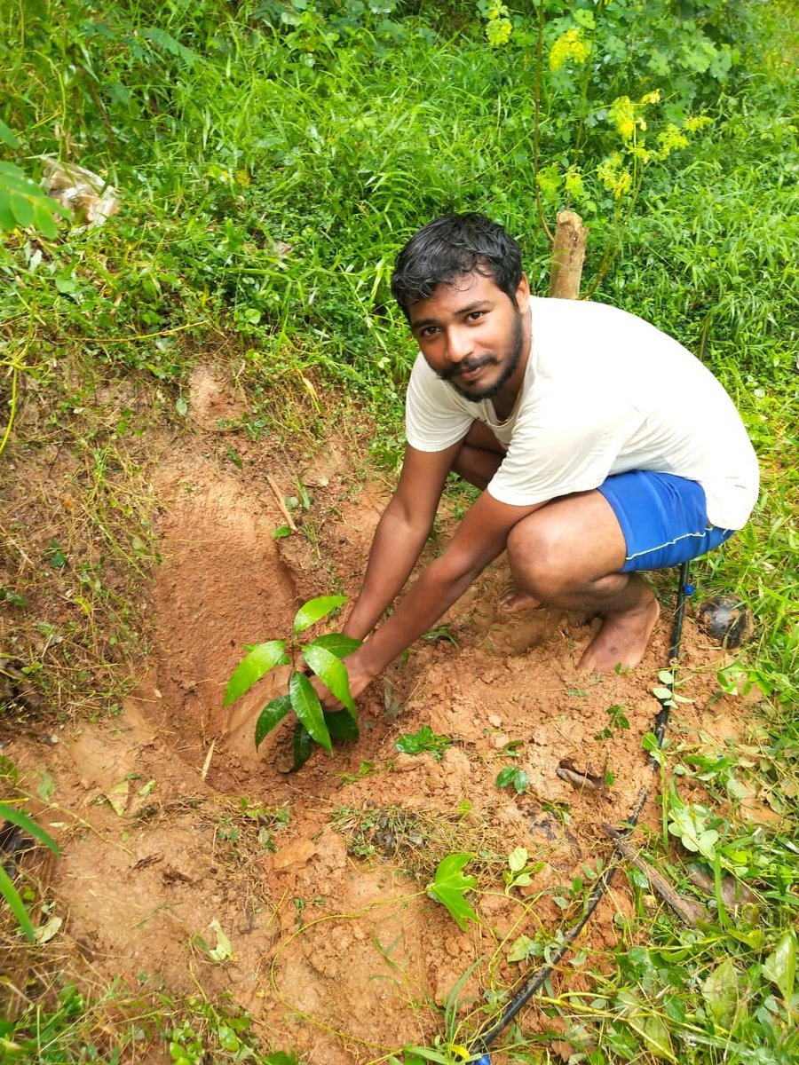 DhayaneshTNPYC's tweet image. பேரணி நடத்தி ரோட்டோரங்களில் 1000 மரம் நடுவதை விட நம் வீடுகளில் மரங்களை வளர்ப்போம் வளம் பெறுவோம்.
#த.#ர.#தயனேஷ்