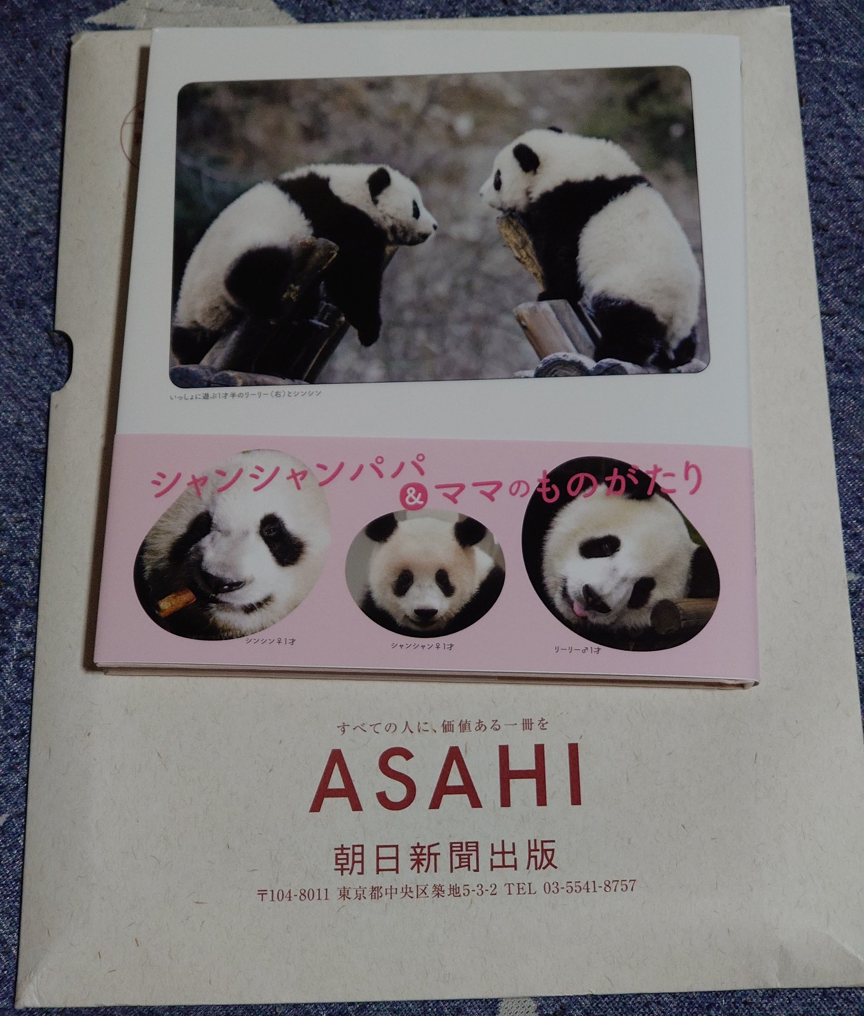 新版リーリーとシンシン - Twitter Search / Twitter