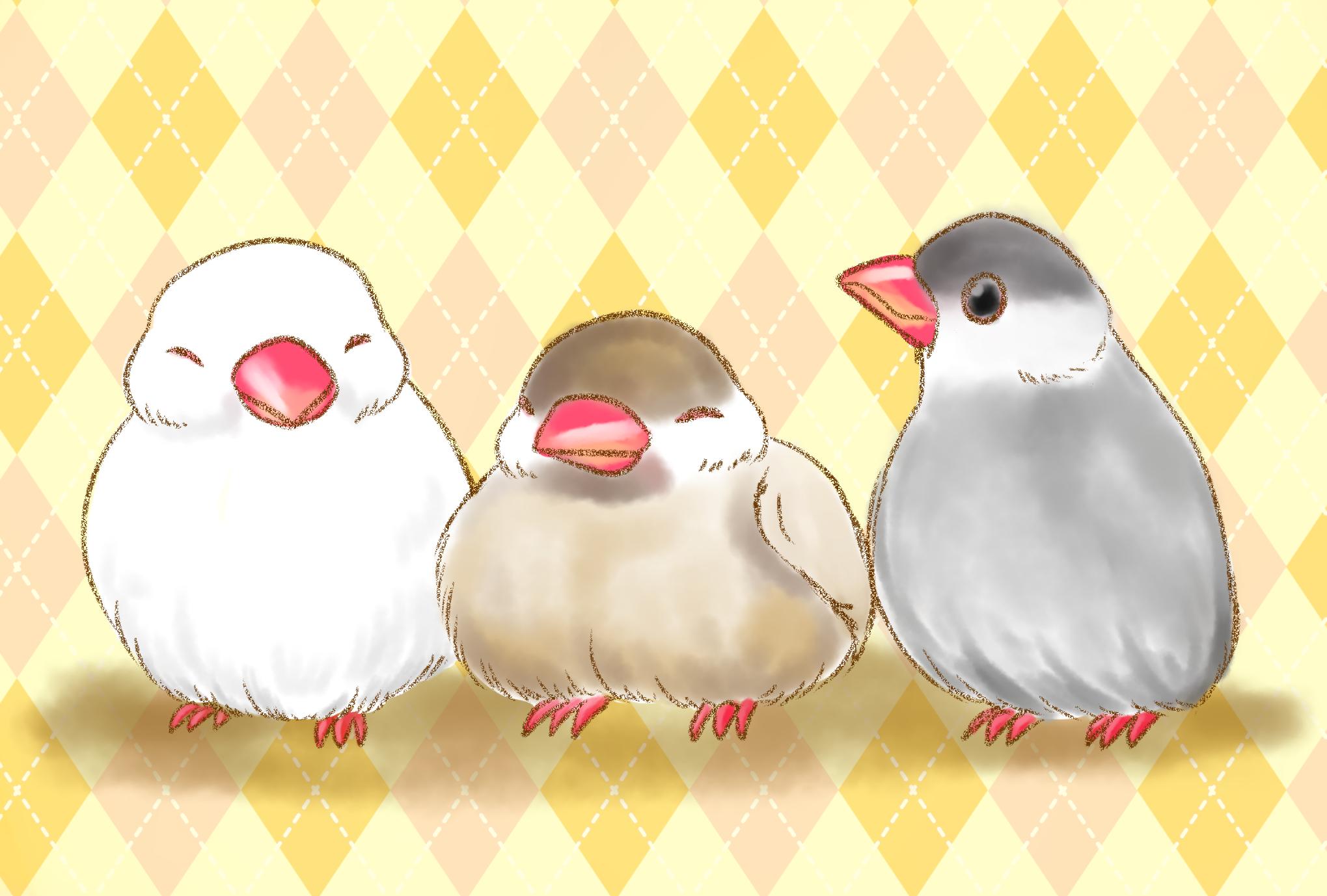 しらうはねひと デザイナー 文鳥描きました 最近フィンチ系の鳥が気になります とてもかわいい 文鳥 イラスト T Co Q9ajgg2x5k Twitter