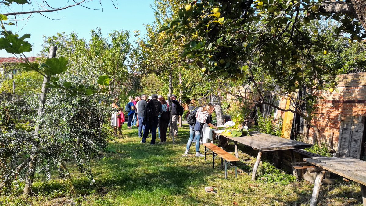 Venezia Unica tweet media