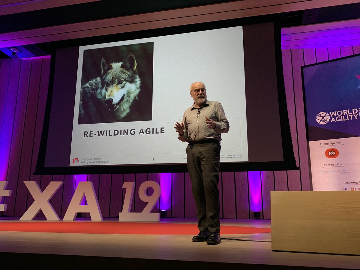 AgileMario's tweet image. “It’s more important how people feel than how things actually are” - David Snowden spoken during #experienceagile