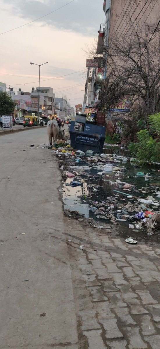 DevenderKundu3's tweet image. @mlkhattar @cmohry @KPGBJP @narendramodi @PMOIndia @ABPNews @aajtak       
टिकट के लिए लाइन मे लगे पलवल से कैंडिडेट (किसी भी पार्टी से) ये पलवल के विकाश को बयां करती पलवल बस स्टैंड की तस्वीर जरूर ले जाये ।।
और अपने विकाश के नाम पे टिकट ले के आये।।