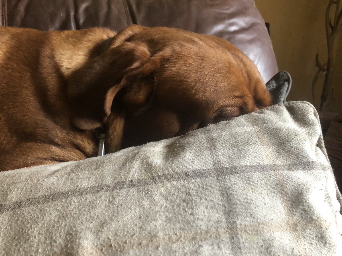 Current mood... #MondayMotivation