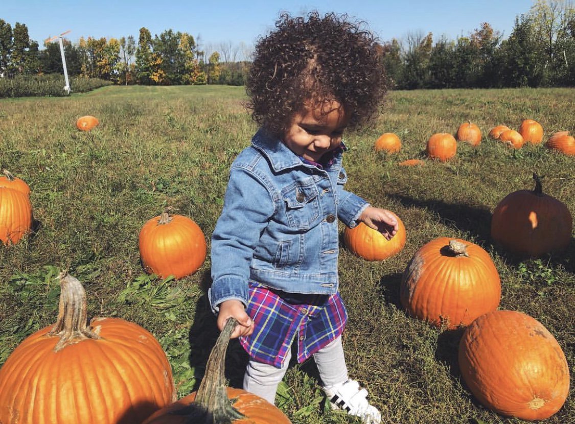 VisitLenawee's tweet photo. Pumpkin patches are one of our favorite fall places to visit in Lenawee County! 🎃💛

SHOUT OUT to @taylorjmoses on Instagram for the precious photo!

#FallFavorites #VisitLenawee #LoveLenawee #LenaweeCounty #PumpkinPatches #KapnickOrchards #PureMichigan https://t.co/f3s4KE3O1W