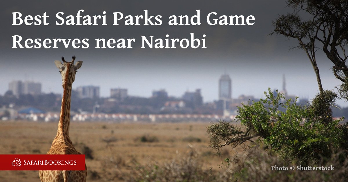 #LP Author <a href="/StuartButler2/">Stuart Butler</a>’s Best Safari Parks and Wildlife Reserves Near Nairobi safaribookings.com/blog/best-safa… #Wildlife #Safari #Nairobi #Kenya