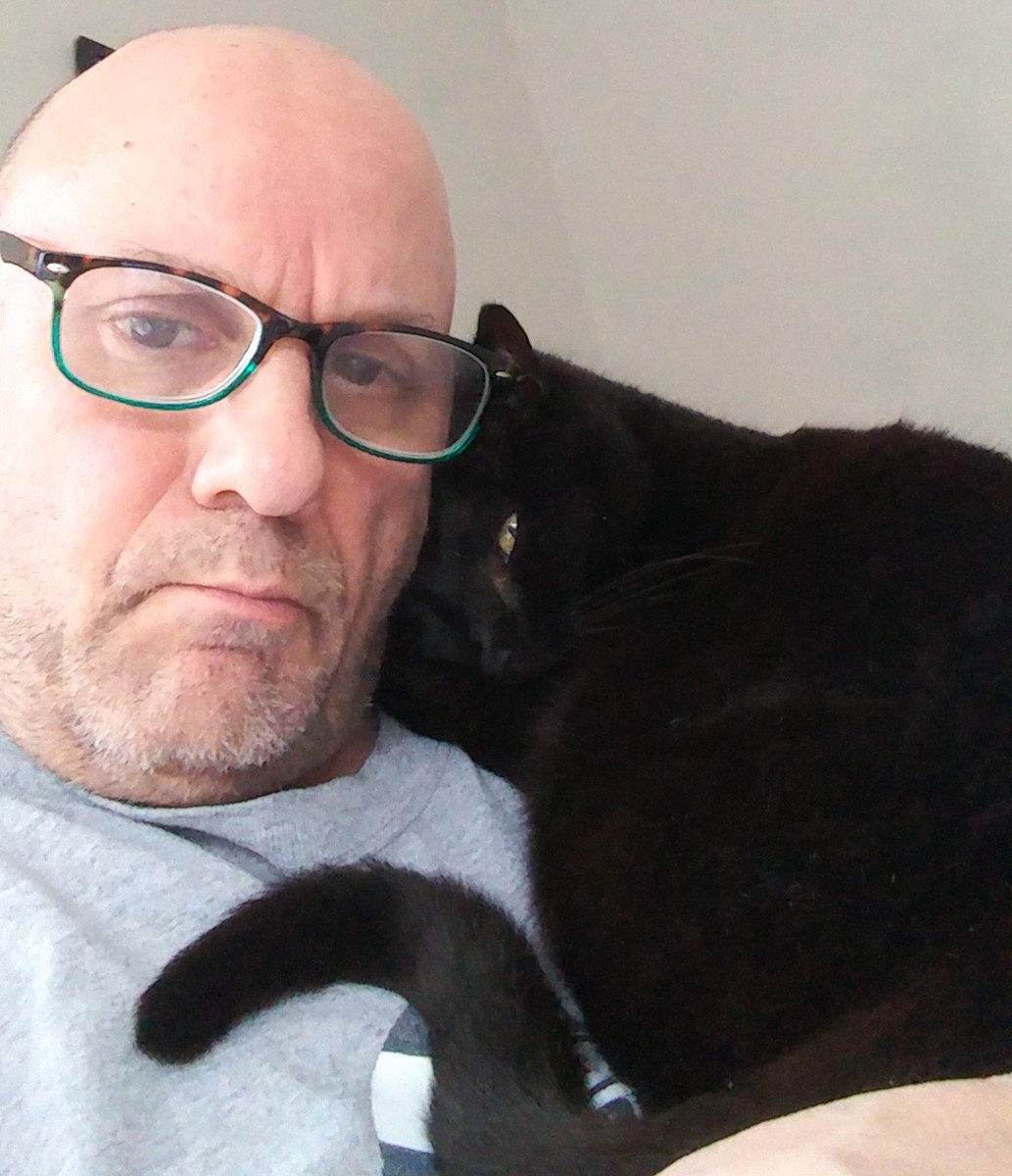 sidewaysboycat's tweet photo. After my stroke I have bad days where I just want to lie on my human's shoulder. https://t.co/CSpmkItIul
