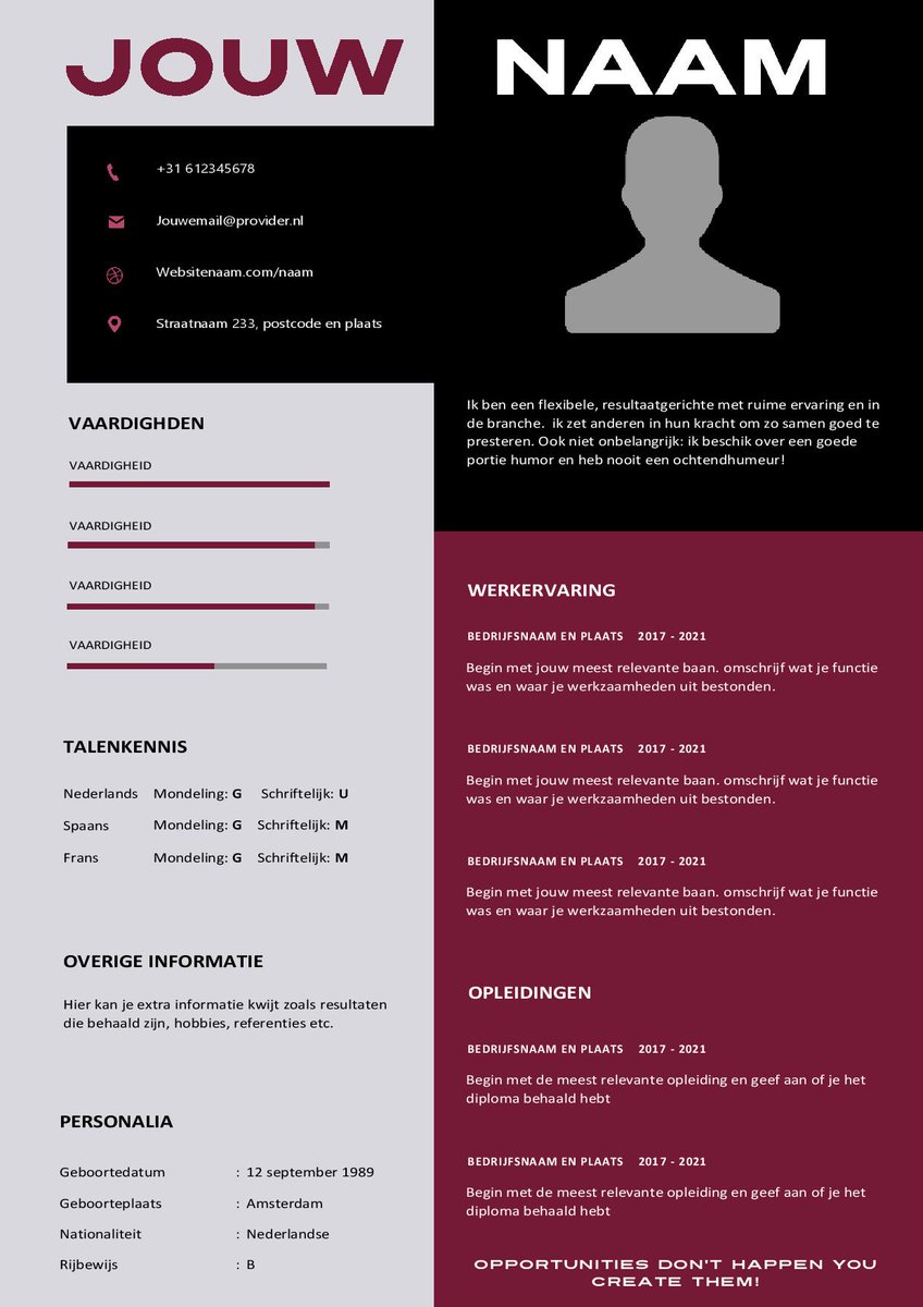 cv5nl's tweet photo. CV Template Unique. https://t.co/PlZu6zXmRf https://t.co/uoW3Ml1mWJ