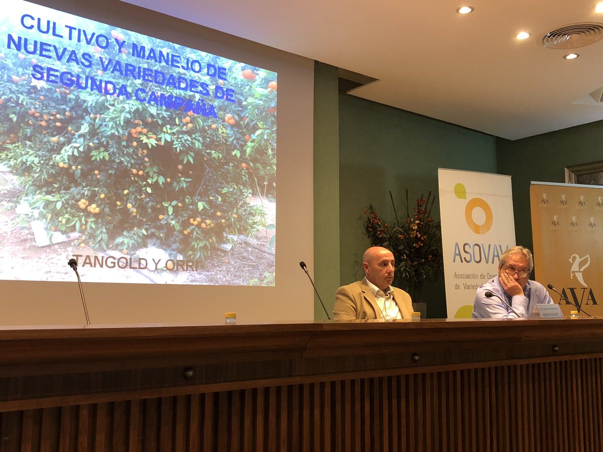 MariaJoHoRa's tweet photo. Manejo de nuevas variedades. Hoy estamos con #asovav y @ava_asaja @Bankia https://t.co/8ujZO7Guwu