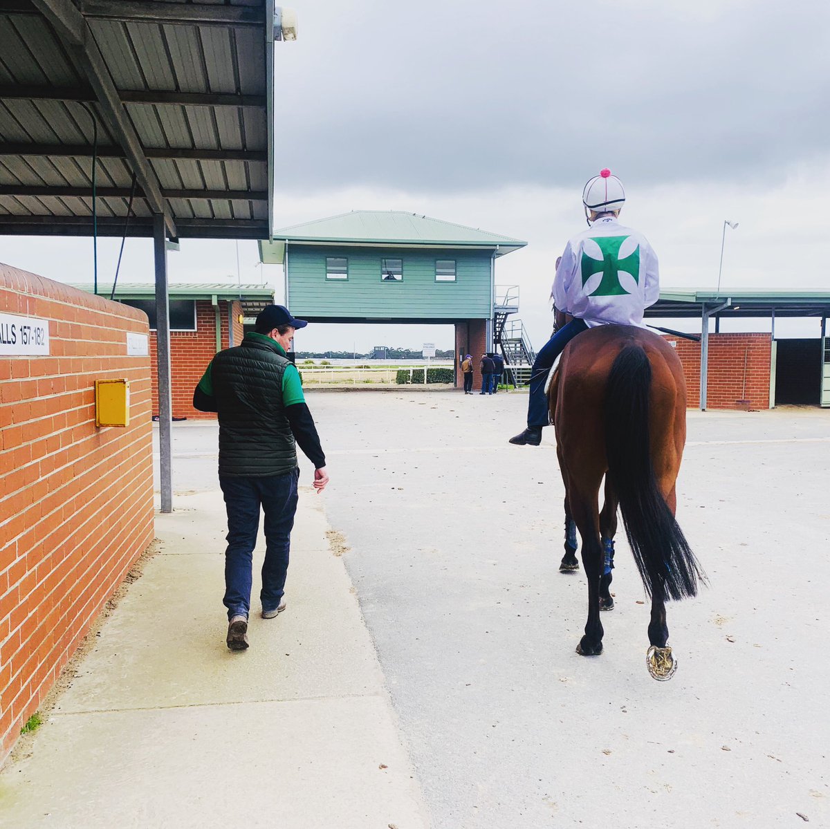 Up close and personal at trials this morning!