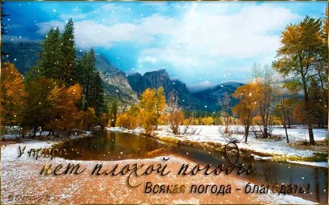 LudMila tweet media