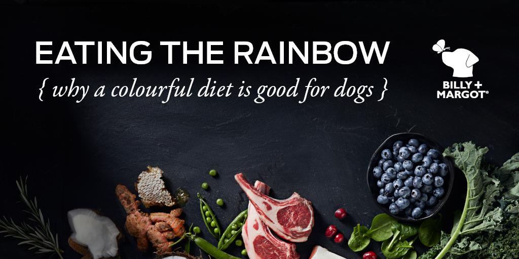 It’s important that your #dog eats a variety of different ingredients to look &amp; feel its best. Just as with humans, the more colourful your dog’s diet, the better.🌈 
Our carefully selected ingredients work to support this while providing maximum flavour &amp; enjoyment. 🍇🍓🥕🍠🥩
