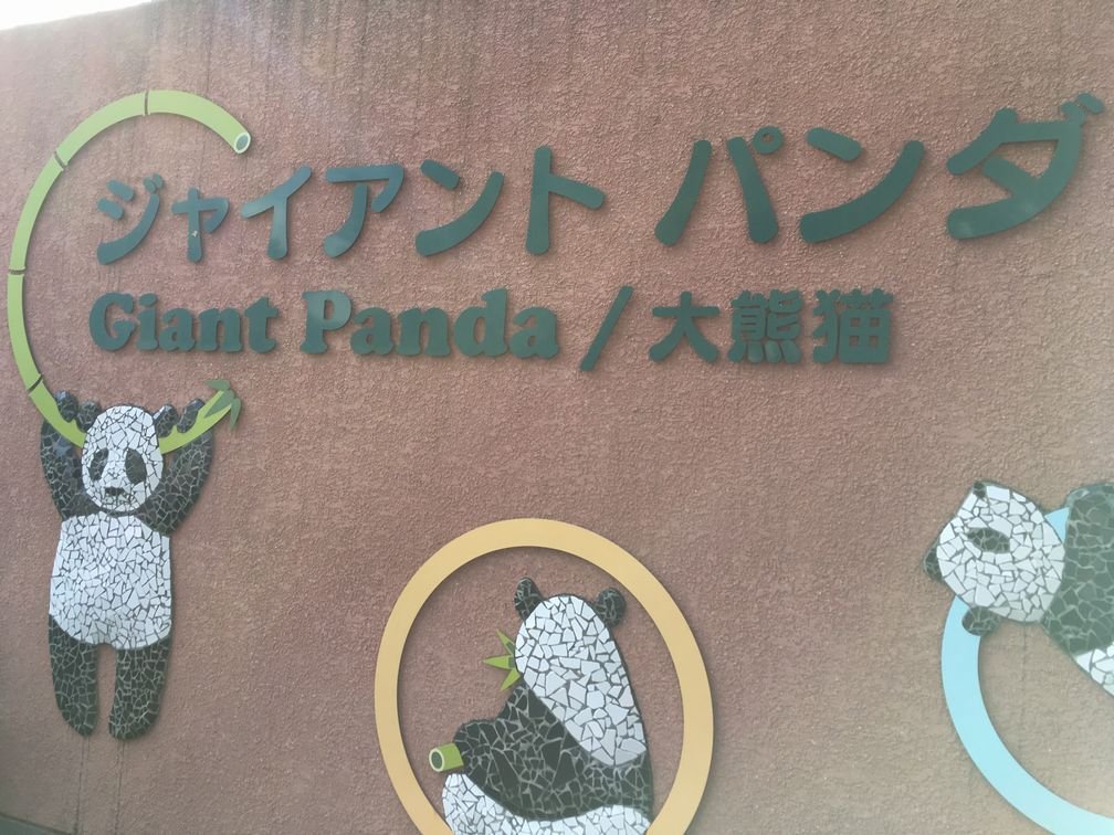 小鳥遊すずめ イラスト デザインのpetit Parade 待ちましたがパンダは上野動物園行ったら見とかなきゃとw 凌雲閣は震災で無くなったのですが それまで下町のシンボルで現存してたら行って見たかったですね 基本レトロなの好きなのでこういうの興奮し