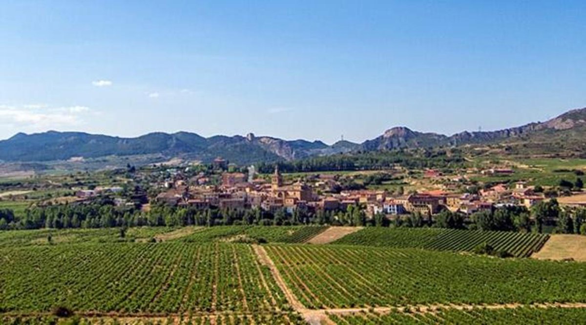 Entre las mejores bodegas del mundo, según los prestigiosos premios World's Best Vineyards, se encuentran nuestros miembros <a href="/La_Estacada/">Finca La Estacada</a> <a href="/marquesderiscal/">Marqués de Riscal</a> <a href="/Vivanco_es/">VivancoCulturaDeVino</a> @bodegaslopezheredia ¡FELICIDADES!! 👏👏👏
Por <a href="/PalomaSantamari/">Paloma Santamaría</a> vía: <a href="/abcviajar/">ABC Viajar</a> <a href="/abc_es/">ABC.es</a> cutt.ly/ner4MTK