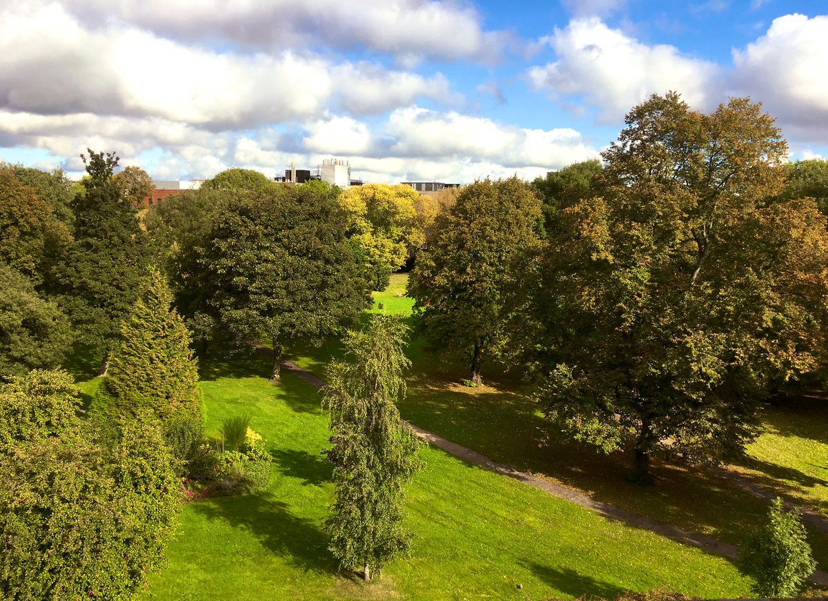 Dr Caroline McCaffrey-Howarth tweet media