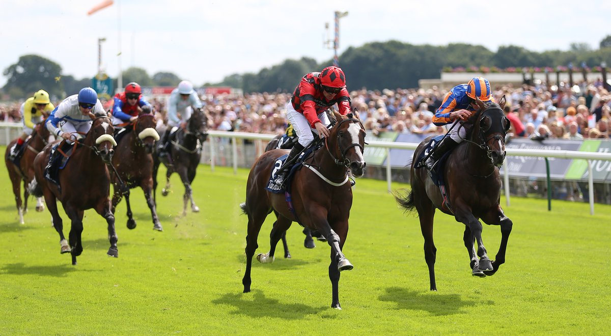 Horse Tracker (HorseTrackerTM) Twitter