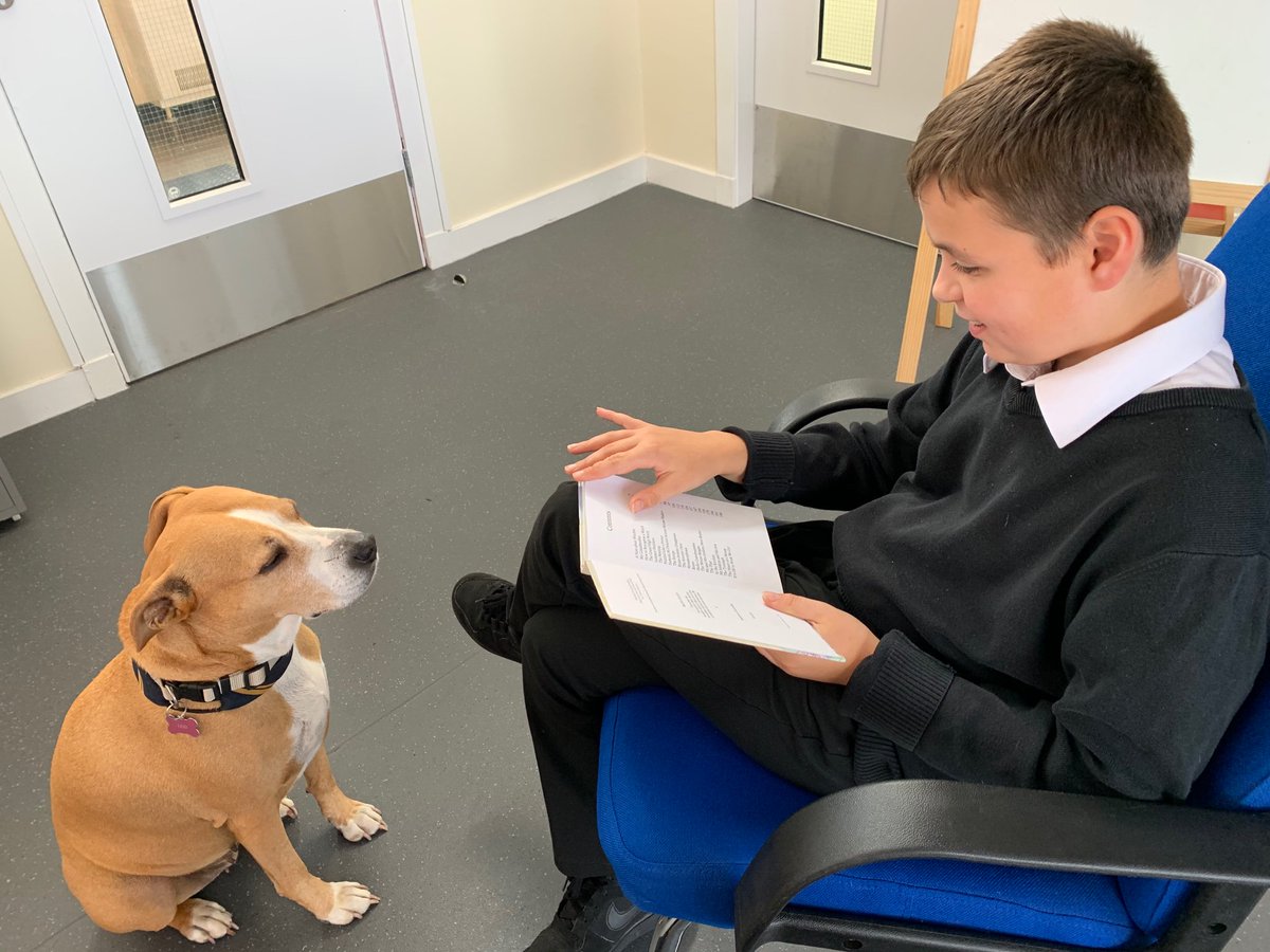 KHS Supported Learning tweet media