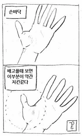 손바닥 