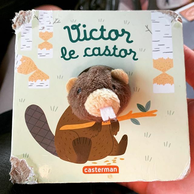 Voici le livre que <a href="/iammaxxl/">I am Max</a> adore et dévore pour le moment! L’histoire de Victor le castor qui ne peut s’empêcher de tout ronger. Je crois que cette lecture a inspiré Max 🤔 
#bookstagram #lecturebebe #victor #victorlecastor #doudou #ronger #livremangé ift.tt/2n53x5D