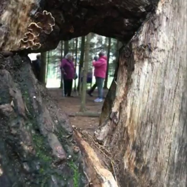 beaudesertcare's tweet photo. Our B.E.A.T team headed over to Birches Valley to build dens and left a temporary mark on the landscape. Nurturing through Nature and treading lightly on the planet. https://t.co/UjmWuo9dK6