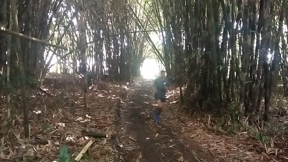 1626Kodim's tweet photo. Jelang Run For Bali 374 KM, Serka I Dewa Gede Astawa Babinsa 1626-04/Kintamani matangkan persiapan,#run #lari #longrun #kodimbangli #kodim1626 #korem163 #kodamIXudayana #bangli #bali #indonesia #tni #tniad #lari #kelilingbali374 #hokka #garmin #gugel #duraking https://t.co/rfkEkJi42A