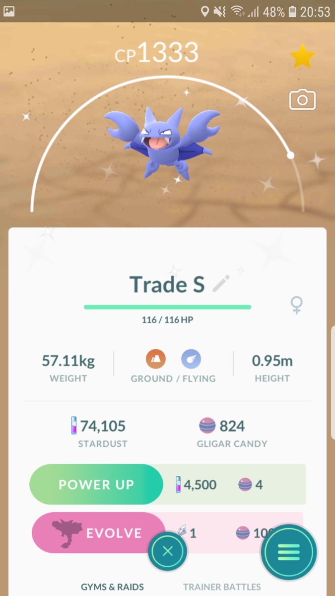 グライガー Twitter Search