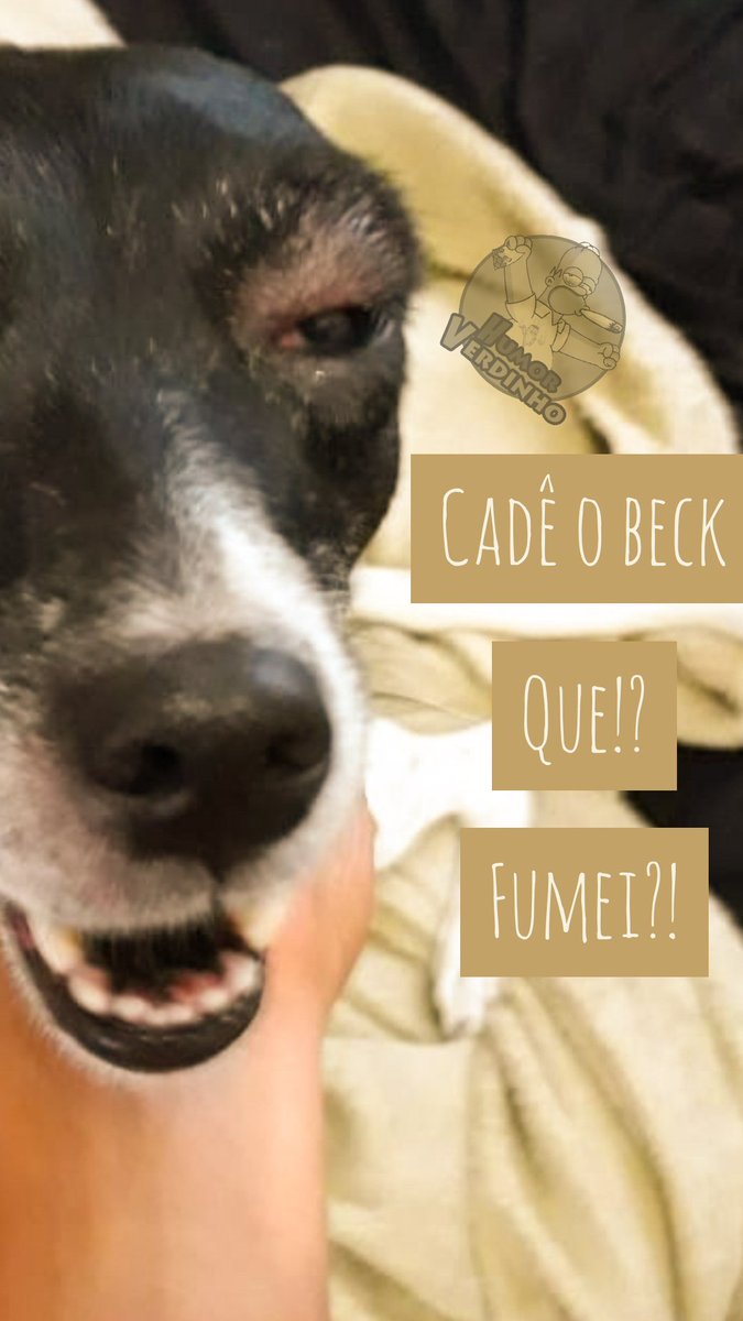 Cade O Dinheiro Junior Meme Videos Da Galera Videos Engracados