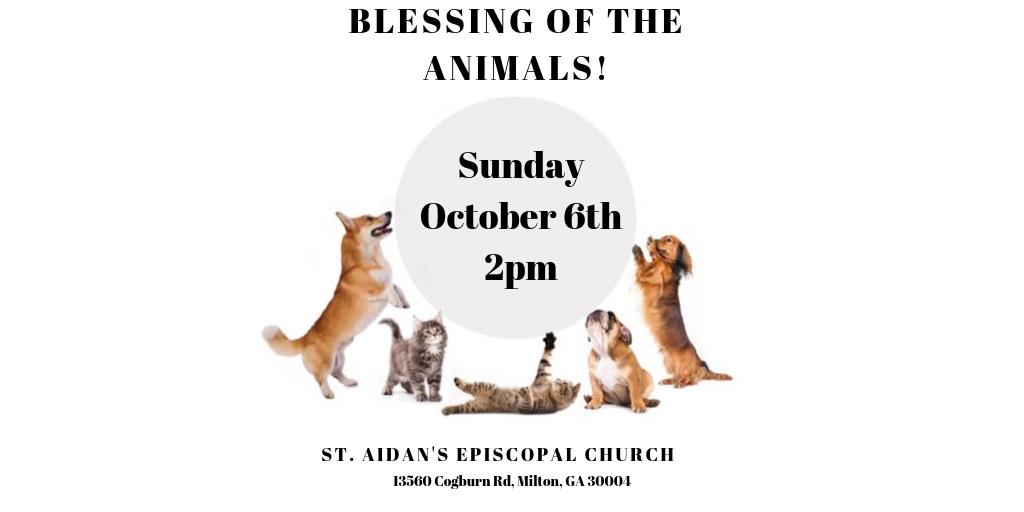 St. Aidan's Episcopal Church tweet media