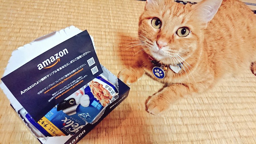 Amazon アマゾン 無料サンプルが欲しい 化粧品などが自宅に届く プライム会員もご紹介 みんなのポイ活 みんなのポイ活