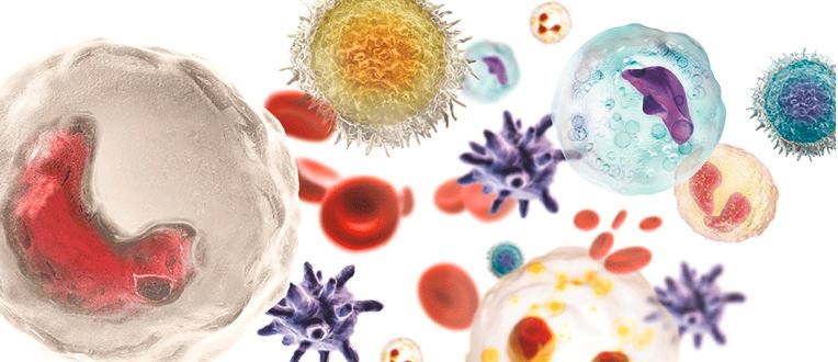 NK cells are natural killers of cancer cells. Learn how researchers are amplifying the abilities of these cells by making them resistant to the cancer’s counter attacks. pediatricsnationwide.org/2019/01/17/a-n… #cancerlauNCH #CCAM #ChildhoodCancerAwarenessMonth