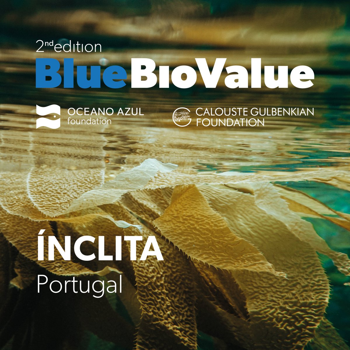 Meet the #BlueBioValue 2019 startups! 
#InclitaSeaweedSolutions #Portugal develops & produces innovative, #sustainable #seaweed-based ​solutions, offering clients unique, customized solutions.
#BlueEconomy #BlueNaturalCapital #BioTech #StartUp  #ocean #entrepreneurship