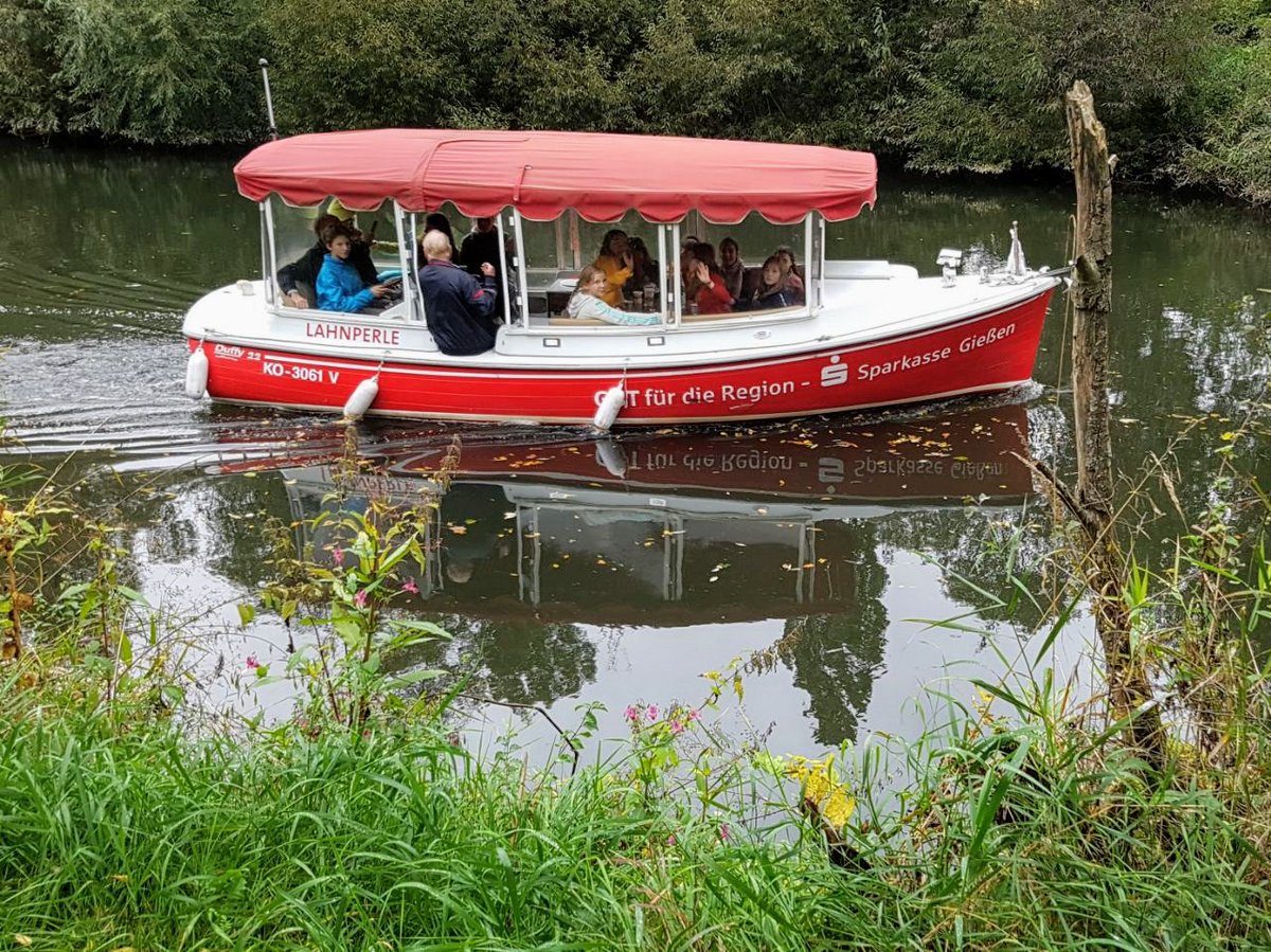 dieExplikatorin's tweet image. 