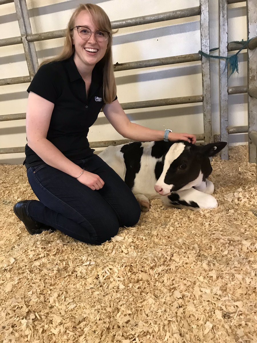 ThisIsVT's tweet photo. Hi Everyone! Really excited to share a bit about my life in VT and my job at @cabotcheese this week! It’s a busy week as I am planning Open Farm Sunday Oct. 6th, where the public can visit some of our farms! #cabotcheese #undeniablydairy #farmlove https://t.co/xfe0zEVlFd