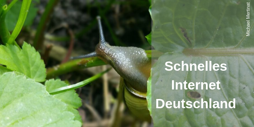 Ich habe mir gerade meine Fotos aus dem letzten Sommer angeschaut. Bei der Schnecke, die Klimmzüge macht, musste ich automatisch daran denken.